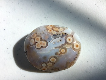 Palm stone from Vein 3, featuring large translucent orbs, length ~1.75in