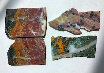 Set of slabs cut by ORCA (right) from Vein 1/2 and NorthWoodsHobbyist (left) from Vein 1