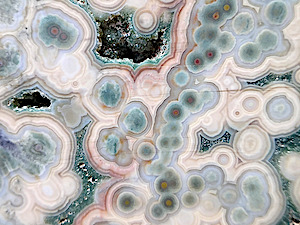 Closeup relief, Plate 5 (*)