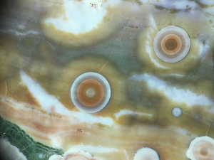 Figure 10 (Left): Chalcedony-fine particulate flow amidst large spherulites (~8-11mm) with complex ring structure. This specimen (two closeups) is from the Marovato off-shore mines (deposits 1/2). Lieber's Fig. 10 (Left) shows matrix flow amidst spherulites in an early Kabamby specimen. Note here the white streaks are an example of 'color zoning', a ubiquitous feature of Ocean Jasper from Marovato deposits. The zoning in this specimen is due to the evident flow of particulates in silica sol-gel colloidal mixtures before the sol-gel hardened to chalcedony. In other cases (including Kabamby) color zoning can occur from post hardening staining of chalcedony. Chalcedony is quite porous and easily dyed or stained by inorganic and organic dyes, natural or unnatural. Picture lengths: ~45mm.