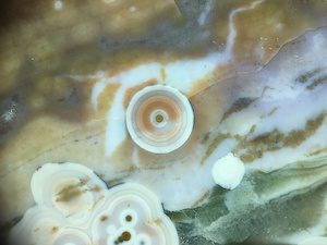 Figure 10 (Left): Chalcedony-fine particulate flow amidst large spherulites (~8-11mm) with complex ring structure. This specimen (two closeups) is from the Marovato off-shore mines (deposits 1/2). Lieber's Fig. 10 (Left) shows matrix flow amidst spherulites in an early Kabamby specimen. Note here the white streaks are an example of 'color zoning', a ubiquitous feature of Ocean Jasper from Marovato deposits. The zoning in this specimen is due to the evident flow of particulates in silica sol-gel colloidal mixtures before the sol-gel hardened to chalcedony. In other cases (including Kabamby) color zoning can occur from post hardening staining of chalcedony. Chalcedony is quite porous and easily dyed or stained by inorganic and organic dyes, natural or unnatural. Picture lengths: ~45mm.