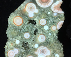 Figure 6 (Right): Fine grained spherulites with multiple rings in a coarse-macro crystalline quartz matrix. Spherulites average 3-5mm size, with a few larger at 7-10mm and more complex ring structure. Similar to Lieber's Fig. 6 (Right). This indicates that these varieties were collected 2003 and earlier. Picture height: ~35mm.