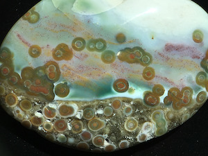 Figure 7: Particulate flow amidst a line of spherulites in a polished palm stone. As mentioned previously, reddish particulates may be iron oxide/hydroxide precipitates, which are commonly found in many varieties of Ocean Jasper, such as the specimens shown in this collection set. Picture length ~50mm.