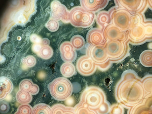 Close-up from 'Land and Sea' slab specimen. Note the ubiquity of iron oxide/hydroxide precipitate particulates, which make up the reddish colors in this specimen.