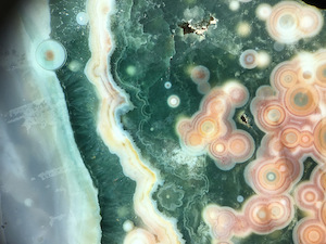 Close-up from 'Land and Sea' slab specimen. Note the ubiquity of iron oxide/hydroxide precipitate particulates, which make up the reddish colors in this specimen.