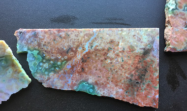 Close-up of specimen 2 of 'Foot Span', cut by an unknown lapidary.