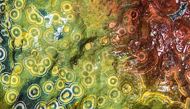 An amazing Ocean Jasper specimen photo from Ashley Rosenn at Northwoods Hobbyist