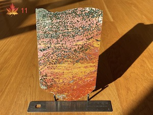 1 side polished slab, 13.5x20x1cm, 586g