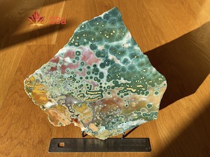 1 side polished slab, 23.5x23x0.7cm, 638g